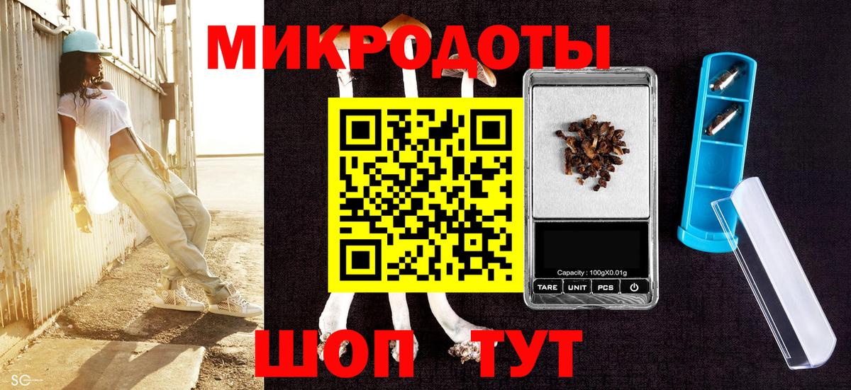 Камень-на-Оби  Псилоцибиновые грибы Psilocybine cubensis  Вход с VPN 